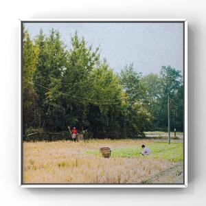 芸能人原纱央莉STAR一141磁力链接
